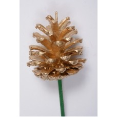 AUSTRIAN PINE CONE 2-3" (PICKED) GOLD- OUT OF STOCK